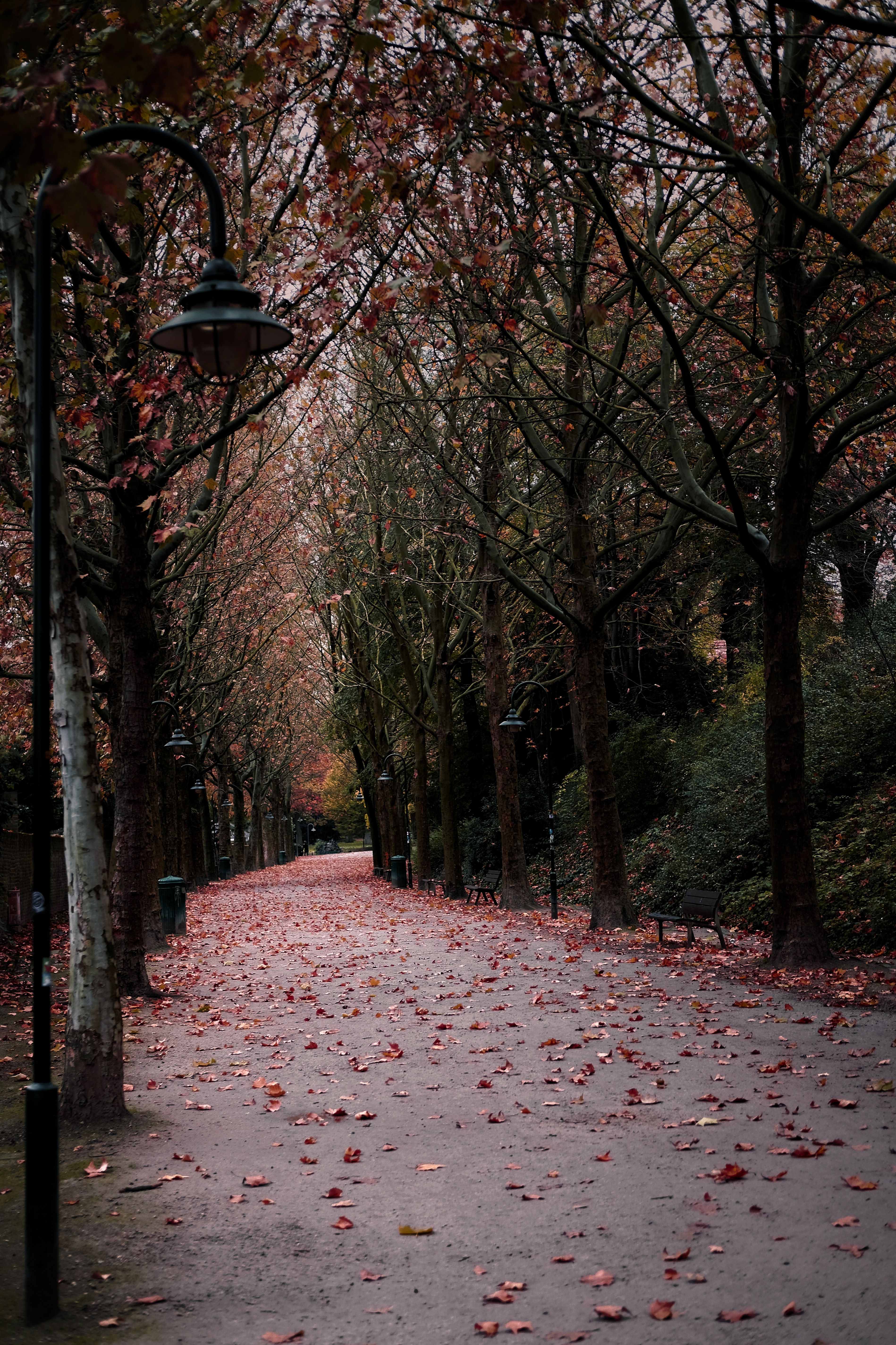 Herbst 2